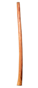 Epoxy Resin Finish Didgeridoo (NW163)